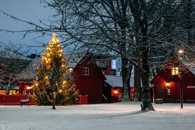 Vinterbild från Helensparken med upplyst gran