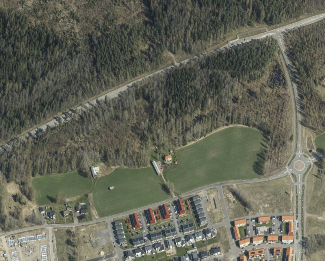Skog och mark sett från ovan