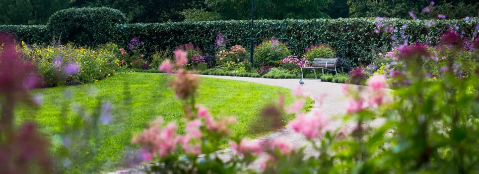 En park med en bänk och blommor i förgrunden.