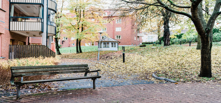 Parkbänk i trädgård med löv på marken