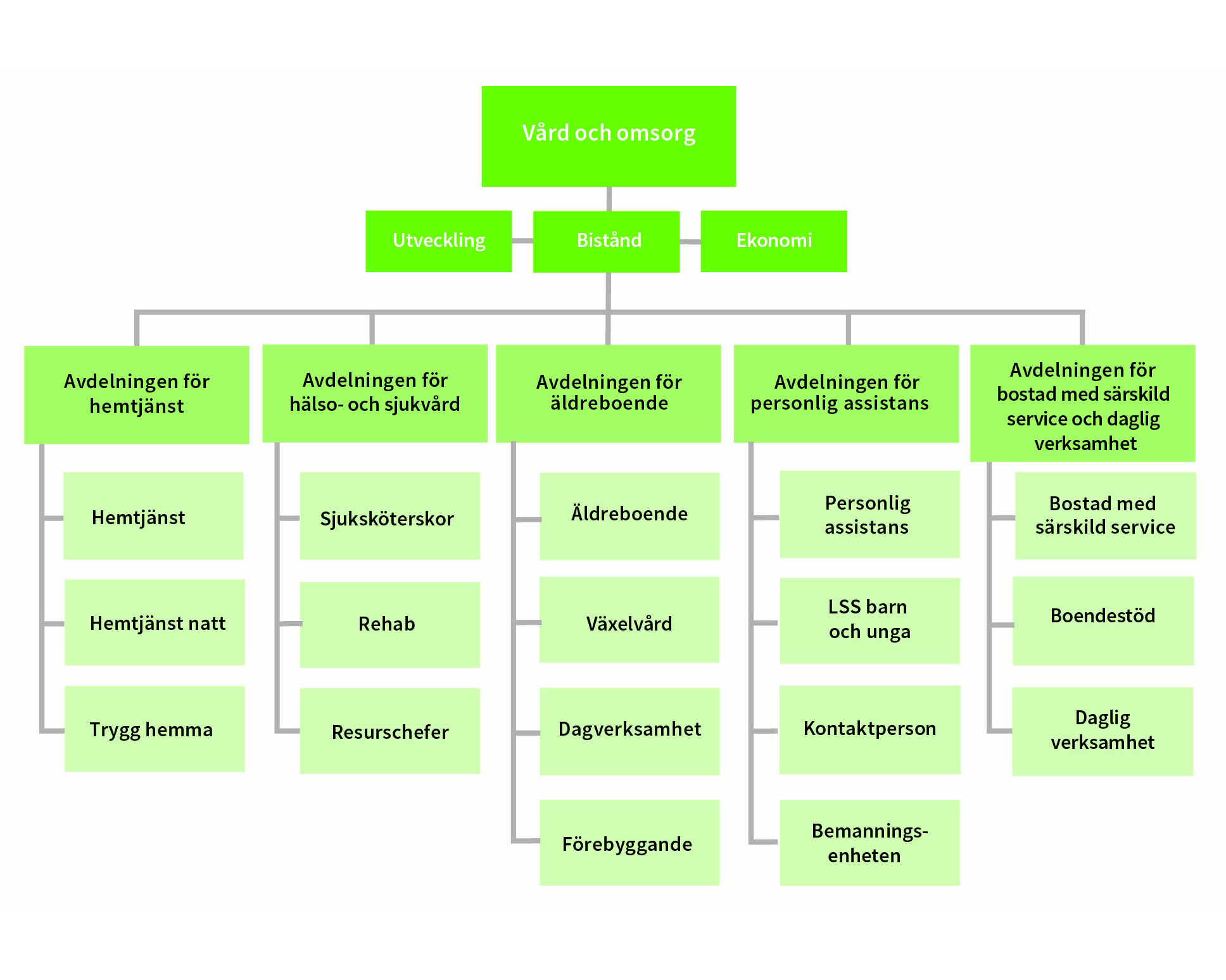 Sektor vård och omsorgs organisation