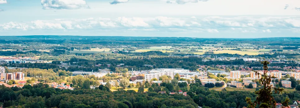 Utsiktsbild från Billingen.