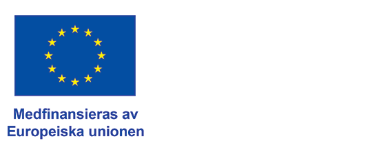 EU-flaggan
